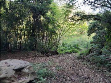 VENTA DE FINCA GANADERA, VALPARAISO, SUROESTE ANTIOQUEÑO