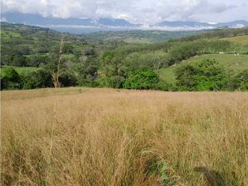 VENTA DE FINCA GANADERA, VALPARAISO, SUROESTE ANTIOQUEÑO