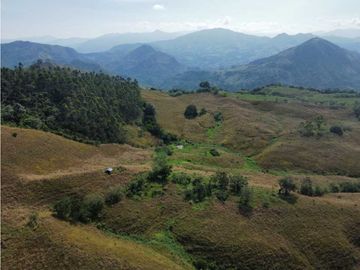 VENTA DE FINCA GANADERA, VALPARAISO, SUROESTE ANTIOQUEÑO