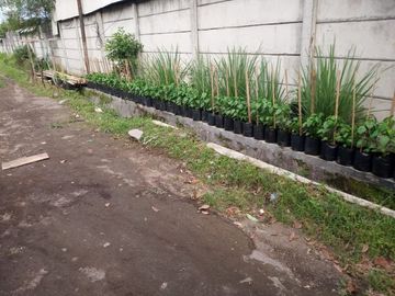Dijual Cepat Rumah Beserta Tanah Pekarangannya Di Salatiga