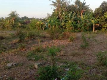 Tanah di pinggir jln provinsi SERIRIT GILIMANUK BULELENG BALI