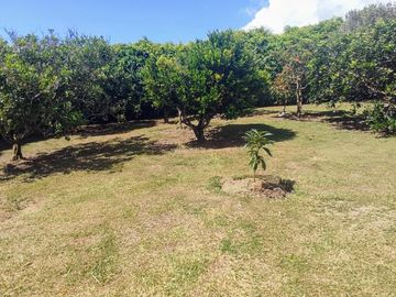 casa en venta en el darien. Cod V14682