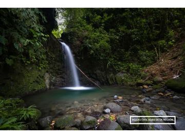 VENTA DE TERRENO EN VERAGUAS - SANTA FE 1 HECTARIA