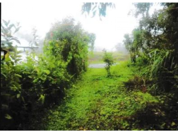 VENTA DE TERRENO EN VERAGUAS - SANTA FE 1 HECTARIA