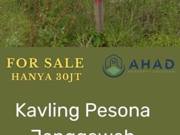 Tanah Sangat Murah di Jember, Ukuran Luas, Banyak Bonusnya