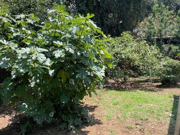 Venta casa fraccionamiento Monte Bello Huitzilac- V296