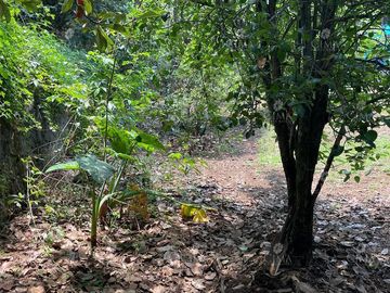 Venta casa fraccionamiento Monte Bello Huitzilac- V296