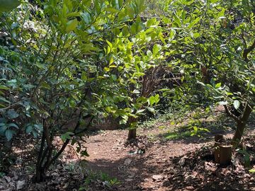 Venta casa fraccionamiento Monte Bello Huitzilac- V296