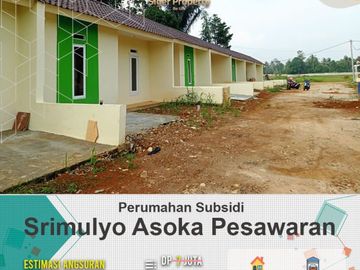 Srimulyo Asoka Pesawaran Lampung