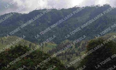 Rancho en Zacapoaxtla Puebla, pue