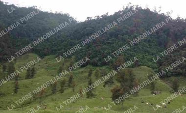 Rancho en Zacapoaxtla Puebla, pue