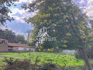 Sitio en Venta en camino a zapallar