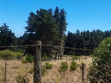 Terreno Construccion en Venta en Algarrobo