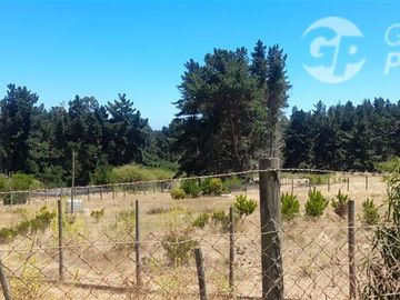 Terreno Construccion en Venta en Algarrobo