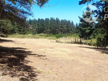 Terreno Construccion en Venta en Algarrobo