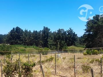 Terreno Construccion en Venta en Algarrobo
