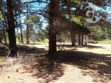 Terreno Construccion en Venta en Algarrobo