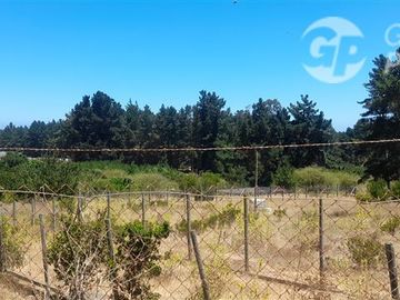 Terreno Construccion en Venta en Algarrobo