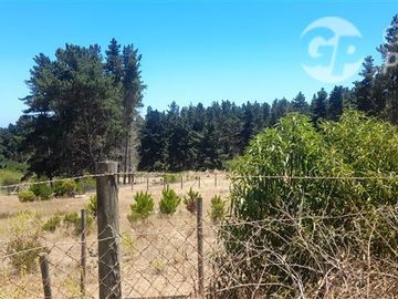 Terreno Construccion en Venta en Algarrobo