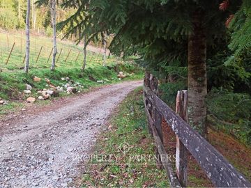 Terreno con vista al lago Panguipulli y acceso a playa