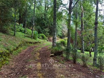 Terreno con vista al lago Panguipulli y acceso a playa