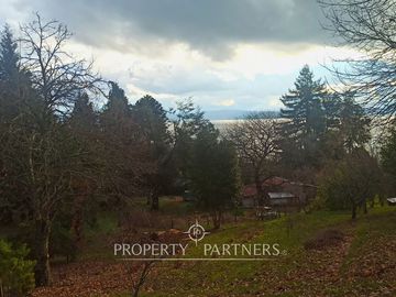 Terreno con vista al lago Panguipulli y acceso a playa