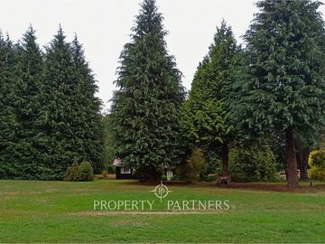 Terreno con vista al lago Panguipulli y acceso a playa