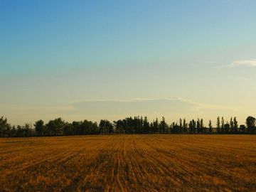 Campo - Salto