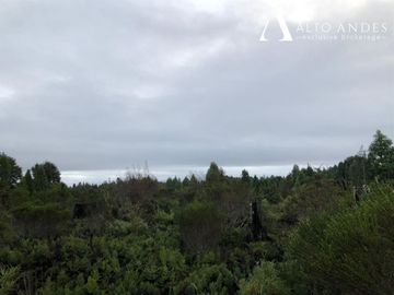 Sitio en Venta en Camino a la Colonia, km 11,5, Metrenquen, Puerto Montt