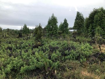 Sitio en Venta en Camino a la Colonia, km 11,5, Metrenquen, Puerto Montt