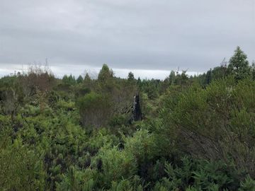 Sitio en Venta en Camino a la Colonia, km 11,5, Metrenquen, Puerto Montt