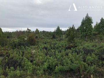 Sitio en Venta en Camino a la Colonia, km 11,5, Metrenquen, Puerto Montt