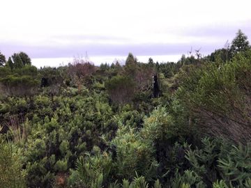 Sitio en Venta en Camino a la Colonia, km 11,5, Metrenquen, Puerto Montt