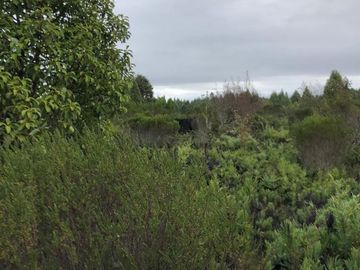 Sitio en Venta en Camino a la Colonia, km 11,5, Metrenquen, Puerto Montt