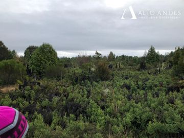 Sitio en Venta en Camino a la Colonia, km 11,5, Metrenquen, Puerto Montt