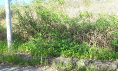 262 Sqm Residential Lot for Sale in Upper Casili Consolacion Cebu