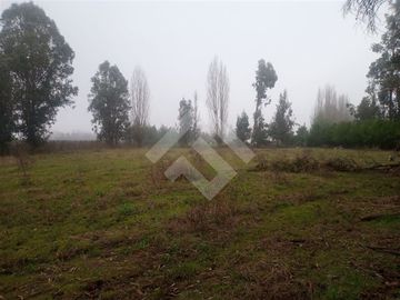 Parcela en Venta en Inmediato al kilómetro 315 de la Ruta 5 Sur