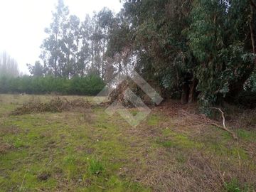Parcela en Venta en Inmediato al kilómetro 315 de la Ruta 5 Sur