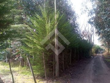 Parcela en Venta en Inmediato al kilómetro 315 de la Ruta 5 Sur