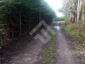 Parcela en Venta en Inmediato al kilómetro 315 de la Ruta 5 Sur
