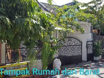 Murahhh bawah pasaran.. putra bangsa medokan 600 jt