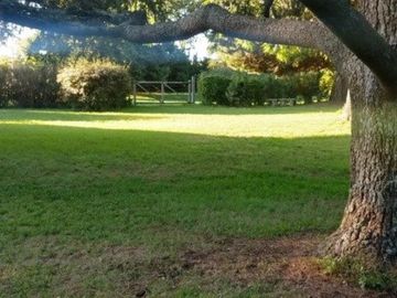 LOTES en bloque + CHALET desarrollado sobre 3 Lotes