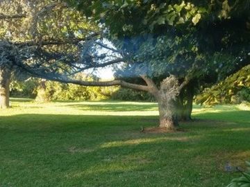 LOTES en bloque + CHALET desarrollado sobre 3 Lotes