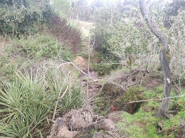 Parcela en Venta 17 há en Quillaycillo - El Tabo