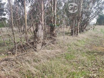 Parcela en Venta 17 há en Quillaycillo - El Tabo