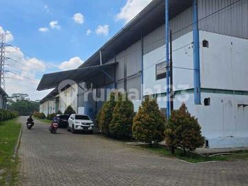 Disewakan Gudang Ijin Industri di Cikupa Tangerang