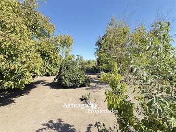 Casa arriendo,Algarrobal,Chicureo incluye jardinero-pisciner