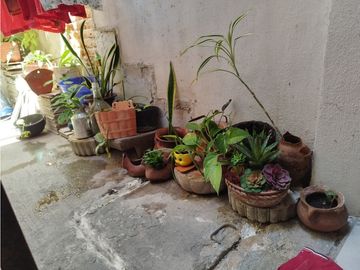 VENTA CASA CON LOCAL COMERCIAL