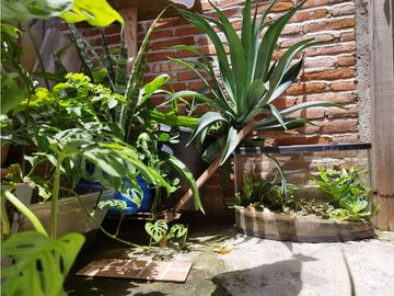 VENTA CASA CON LOCAL COMERCIAL