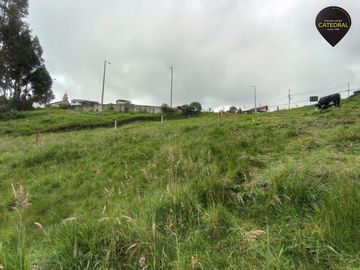 Terreno de venta en Santa Ana del Vallle – código:19432